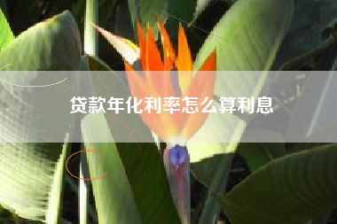 贷款年化利率怎么算利息