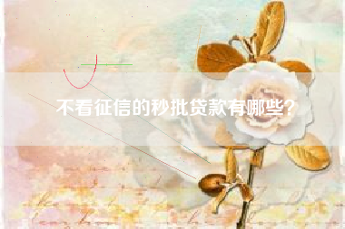 不看征信的秒批贷款有哪些？