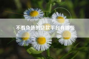 不看负债的贷款平台有哪些