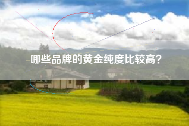 哪些品牌的黄金纯度比较高？