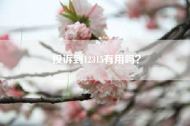 投诉到12315有用吗？