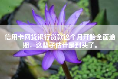 信用卡网贷银行贷款这个月开始全面逾期，这辈子估计是到头了。