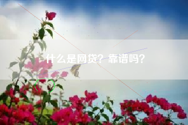 什么是网贷？靠谱吗？