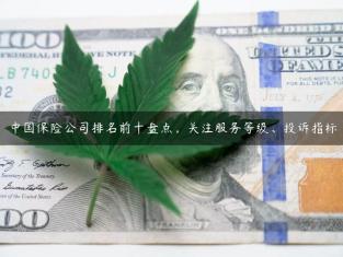 中国保险公司排名前十盘点，关注服务等级、投诉指标