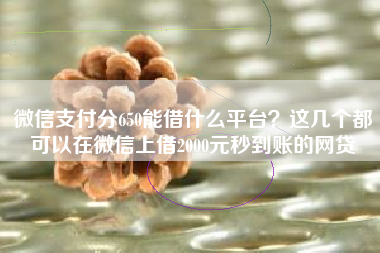 微信支付分650能借什么平台？这几个都可以在微信上借2000元秒到账的网贷