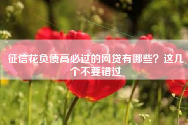 征信花负债高必过的网贷有哪些？这几个不要错过