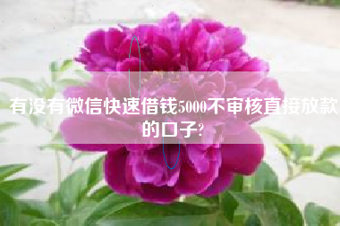 有没有微信快速借钱5000不审核直接放款的口子?