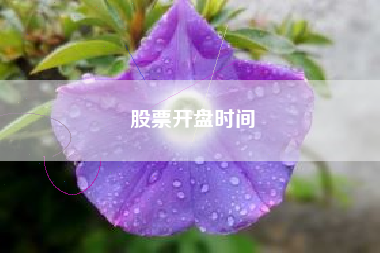 股票开盘时间