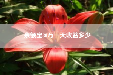余额宝30万一天收益多少