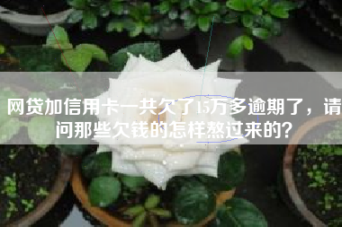 网贷加信用卡一共欠了15万多逾期了，请问那些欠钱的怎样熬过来的？