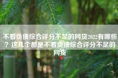 不看负债综合评分不足的网贷2022有哪些？这几个都是不看负债综合评分不足的网贷