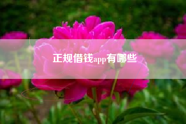 正规借钱app有哪些