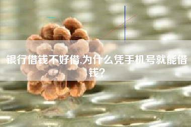 银行借钱不好借,为什么凭手机号就能借钱？