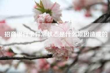 招商银行卡异常状态是什么原因造成的