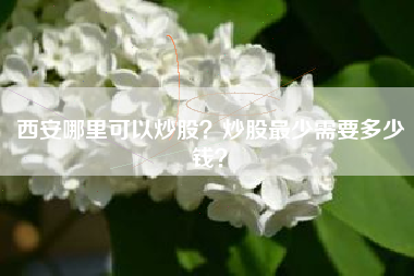 西安哪里可以炒股？炒股最少需要多少钱？