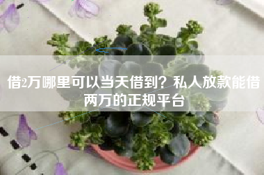 借2万哪里可以当天借到？私人放款能借两万的正规平台