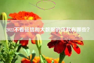 2022不看征信和大数据的贷款有哪些？