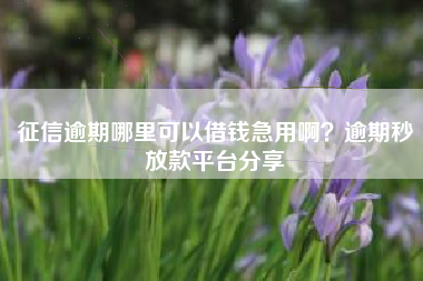 征信逾期哪里可以借钱急用啊？逾期秒放款平台分享