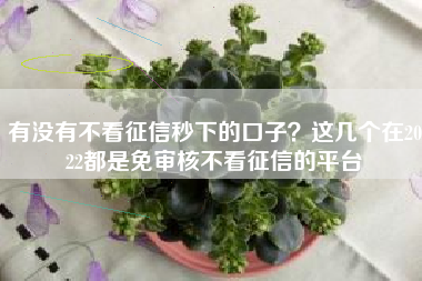 有没有不看征信秒下的口子？这几个在2022都是免审核不看征信的平台