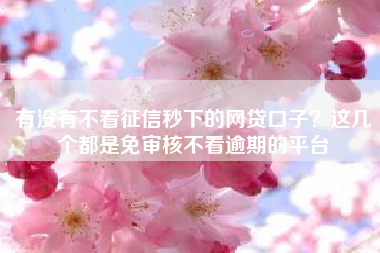 有没有不看征信秒下的网贷口子？这几个都是免审核不看逾期的平台