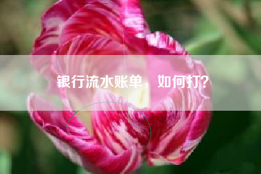 银行流水账单，如何打？