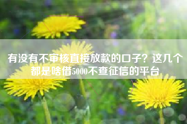 有没有不审核直接放款的口子？这几个都是啥借5000不查征信的平台