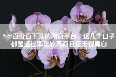 2022百分百下款的网贷平台，这几个口子都是通过率比较高而且还无视黑白