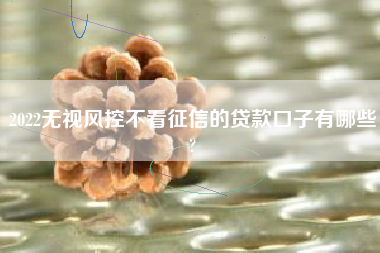 2022无视风控不看征信的贷款口子有哪些?