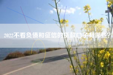 2022不看负债和征信的贷款口子有哪些？