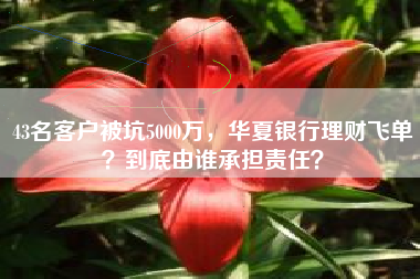43名客户被坑5000万，华夏银行理财飞单？到底由谁承担责任？