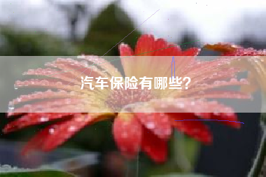 汽车保险有哪些？