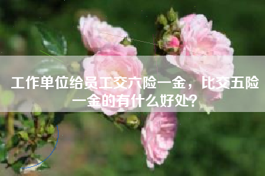 工作单位给员工交六险一金，比交五险一金的有什么好处？