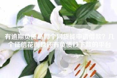 有逾期负债高哪个网贷能申请借款？几个征信花而且还有负债秒下款的平台