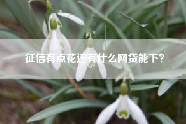 征信有点花还有什么网贷能下？