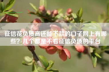 征信花负债高还能下款的口子网上有哪些？几个都是不看征信负债的平台