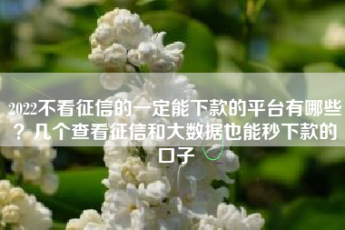 2022不看征信的一定能下款的平台有哪些？几个查看征信和大数据也能秒下款的口子