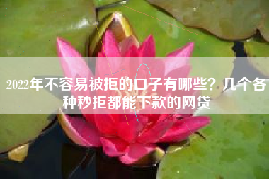 2022年不容易被拒的口子有哪些？几个各种秒拒都能下款的网贷