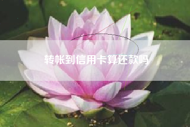 转帐到信用卡算还款吗