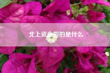 北上资金指的是什么