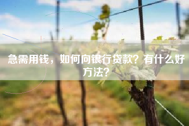 急需用钱，如何向银行贷款？有什么好方法？