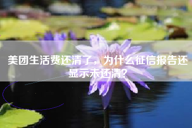 美团生活费还清了，为什么征信报告还显示未还清？