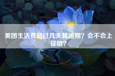 美团生活费超过几天算逾期？会不会上征信？