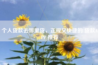 个人贷款去哪里贷，正规又快捷的 贷款APP 推荐