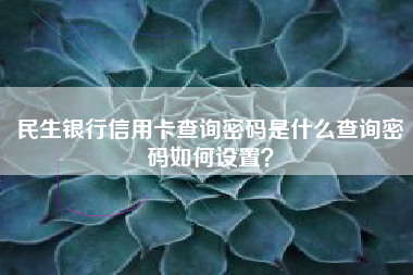 民生银行信用卡查询密码是什么查询密码如何设置？