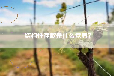 结构性存款是什么意思？