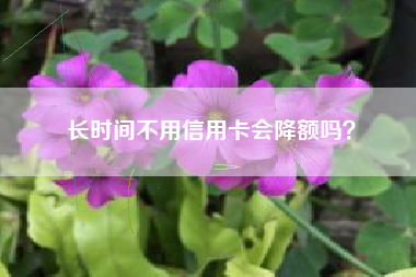 长时间不用信用卡会降额吗？