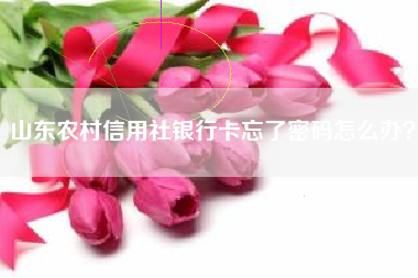 山东农村信用社银行卡忘了密码怎么办？
