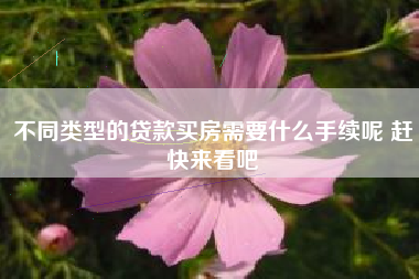 不同类型的贷款买房需要什么手续呢 赶快来看吧
