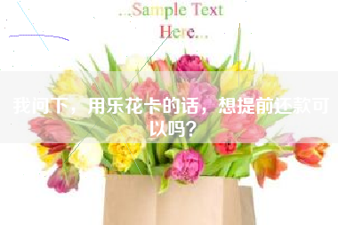 我问下，用乐花卡的话，想提前还款可以吗？
