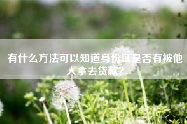 有什么方法可以知道身份证是否有被他人拿去贷款？